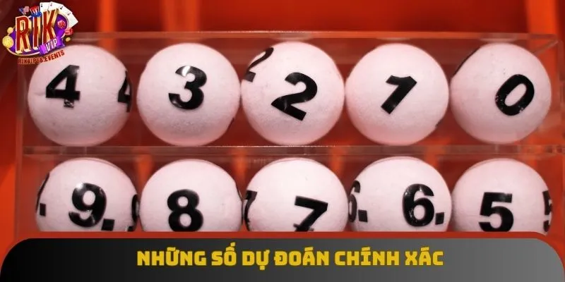Những số dự đoán chính xác